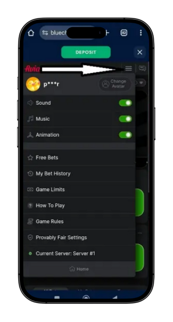 Aviator App Account Settings