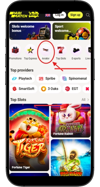 Visit the Casino’s Official Website